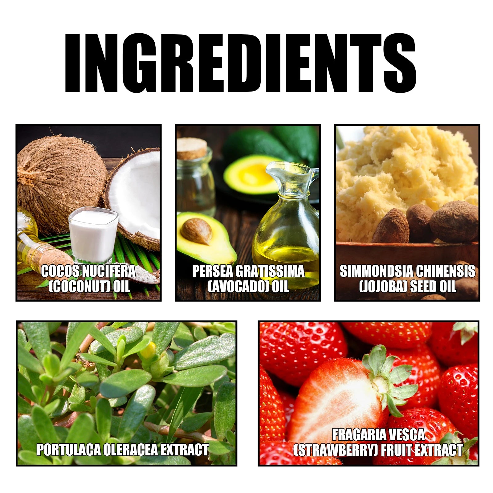 Ingredientes 